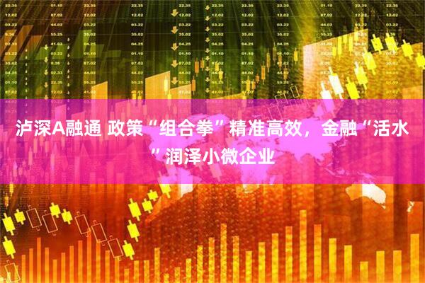 泸深A融通 政策“组合拳”精准高效，金融“活水”润泽小微企业