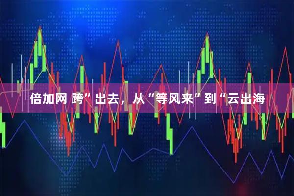 倍加网 跨”出去，从“等风来”到“云出海