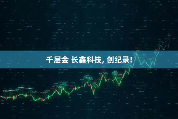 千层金 长鑫科技, 创纪录!