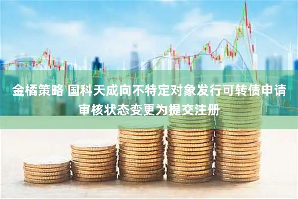 金橘策略 国科天成向不特定对象发行可转债申请审核状态变更为提交注册